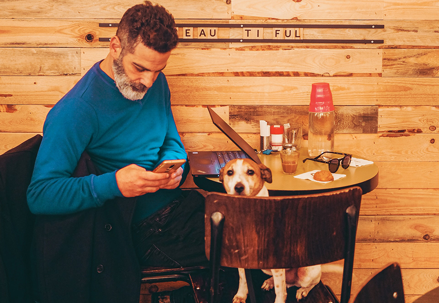 dog friendly restaurants in the central west end and clayton